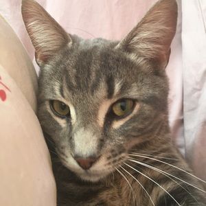 Meet your Posher, Joanna